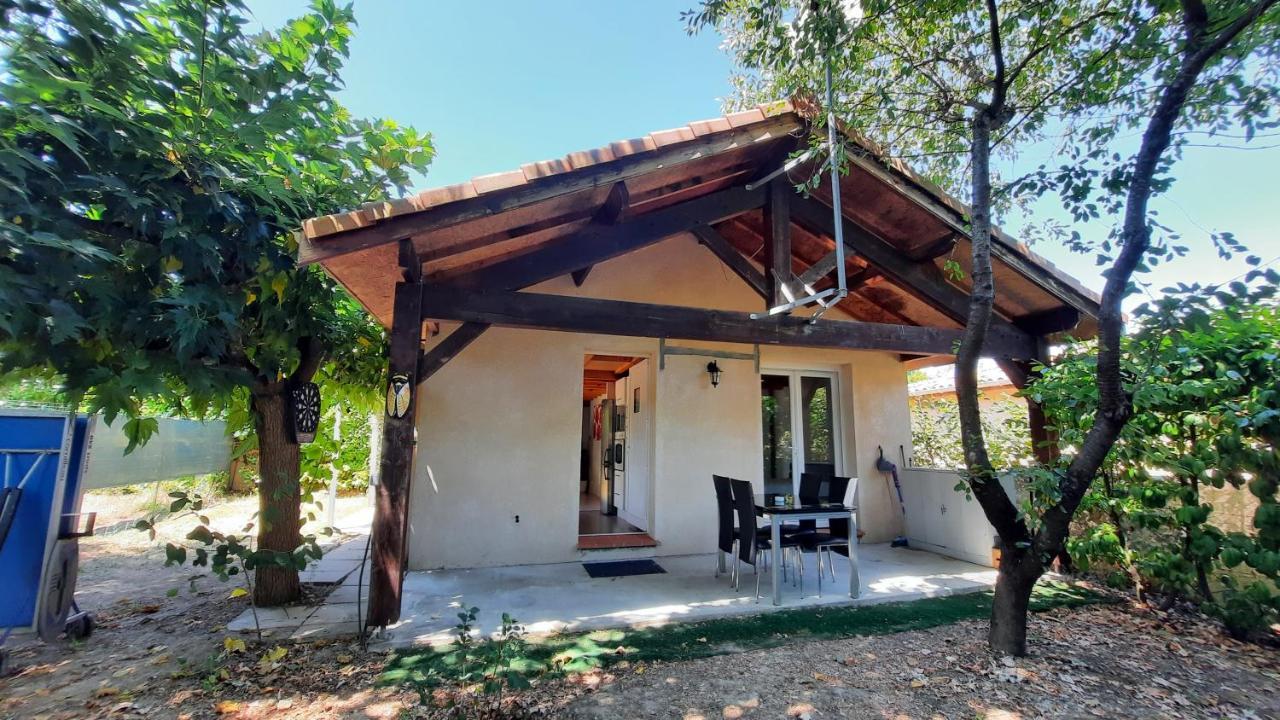 Promo 2-9Juin Gite 6 Personnes Toulouse 7Mn Du Metro 4 Lits Terrasses Gragnague ภายนอก รูปภาพ