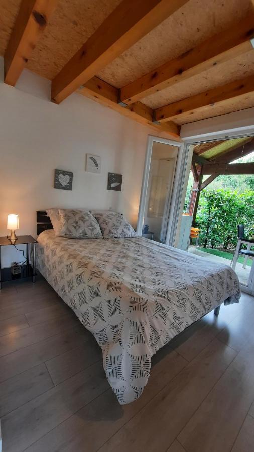 Promo 2-9Juin Gite 6 Personnes Toulouse 7Mn Du Metro 4 Lits Terrasses Gragnague ภายนอก รูปภาพ